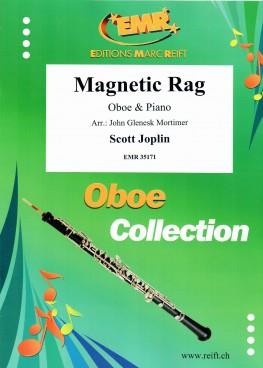 Magnetic Rag